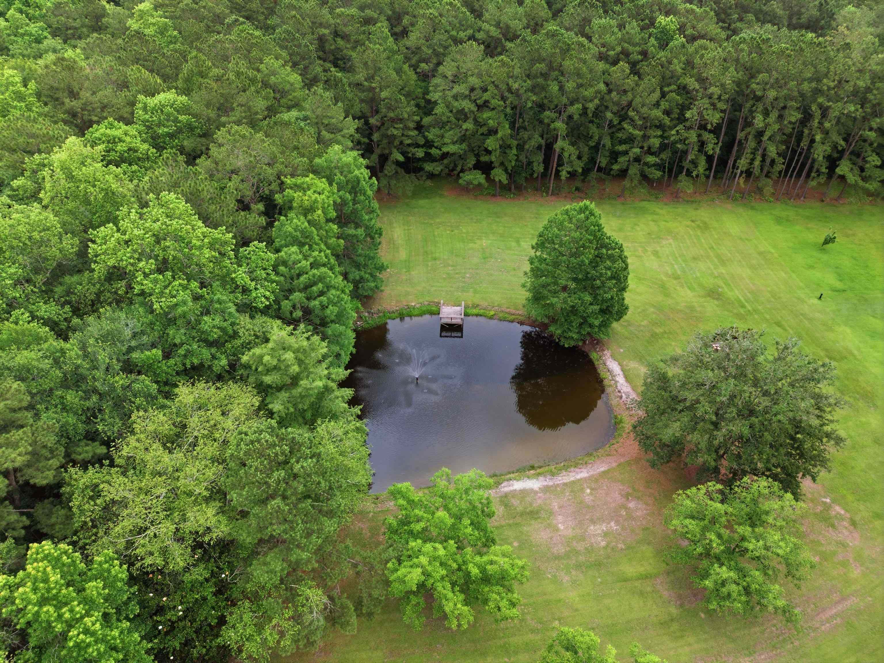 3906 Concord Road Havana, FL 32333 - Photo 46 of 59