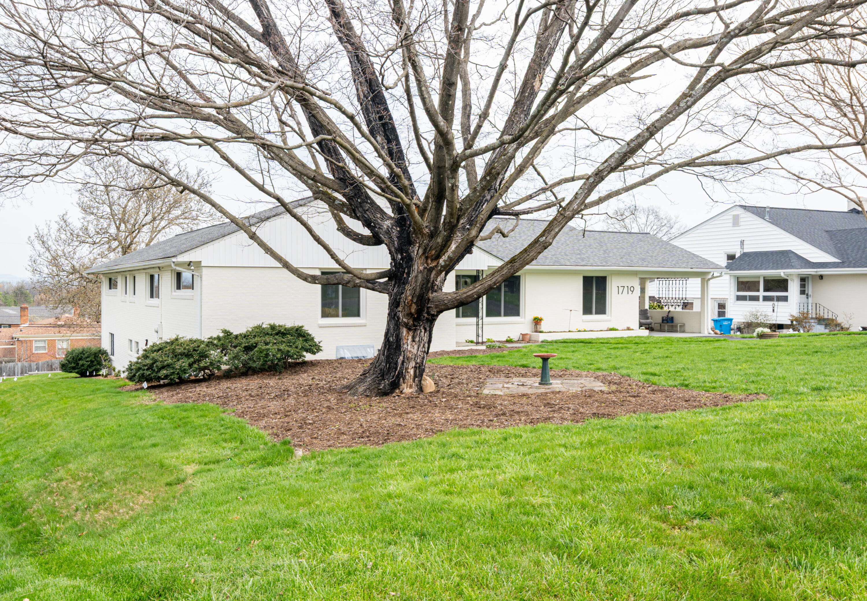 a house that has a tree in front of a house