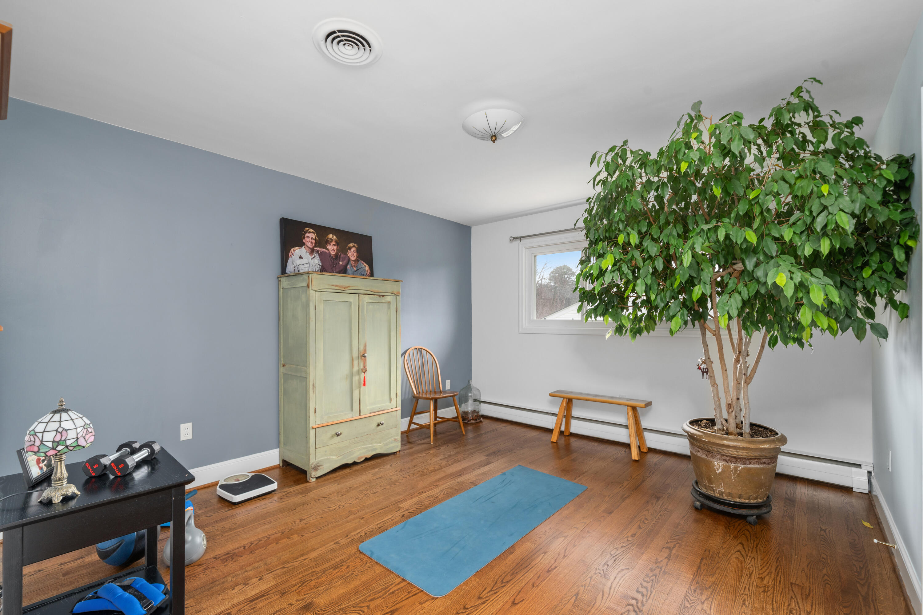 1719 Blair Road Southwest Roanoke, VA 24015 - Photo 22 of 40 a living room with furniture and a potted plant