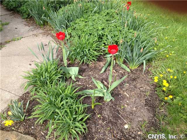 16845 Co Route Adams Center, NY 13606 - Photo 21 of 24 Gallery Image 21