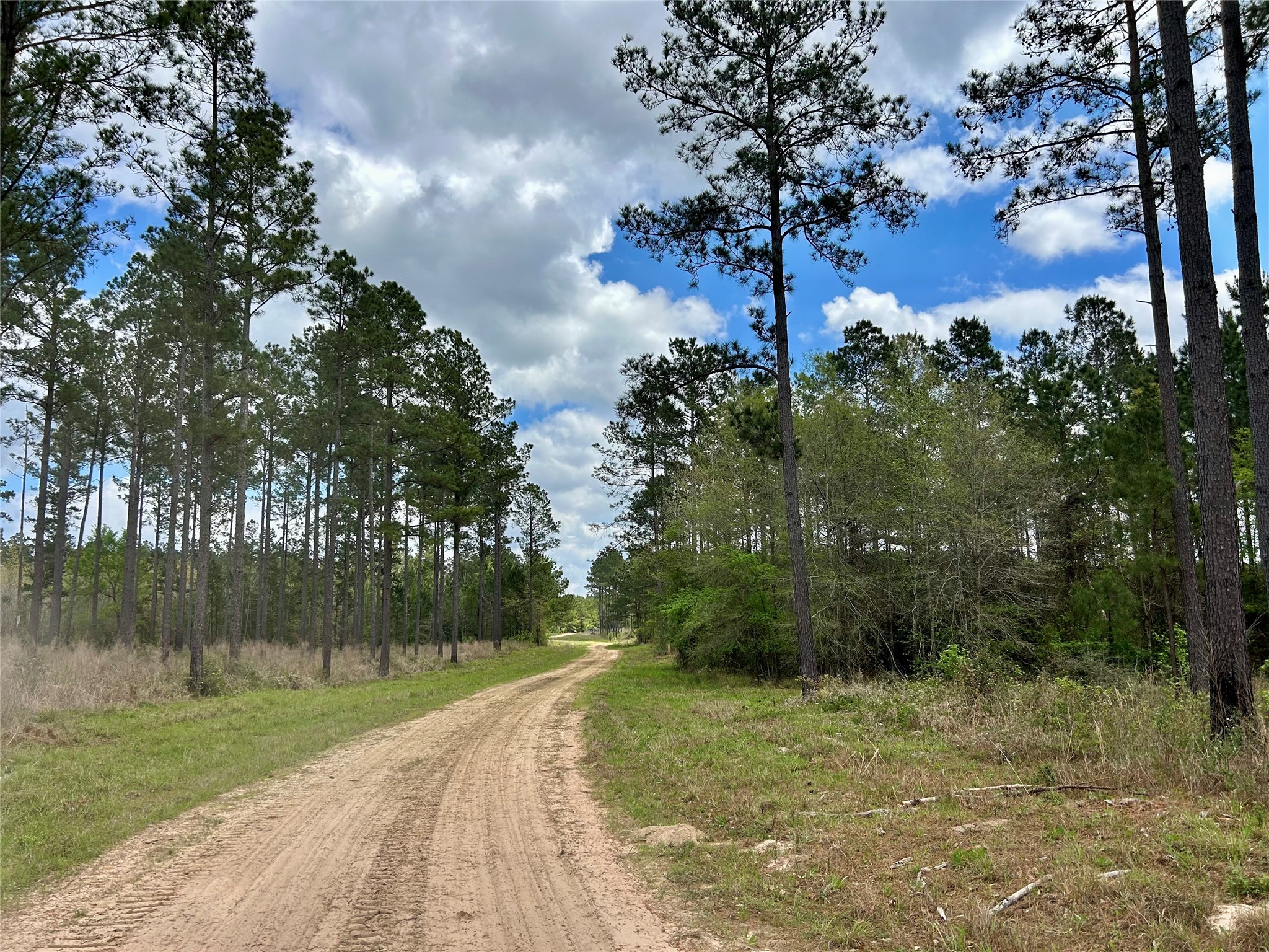 0 Na Alto, TX 75925 - Photo 4 of 20