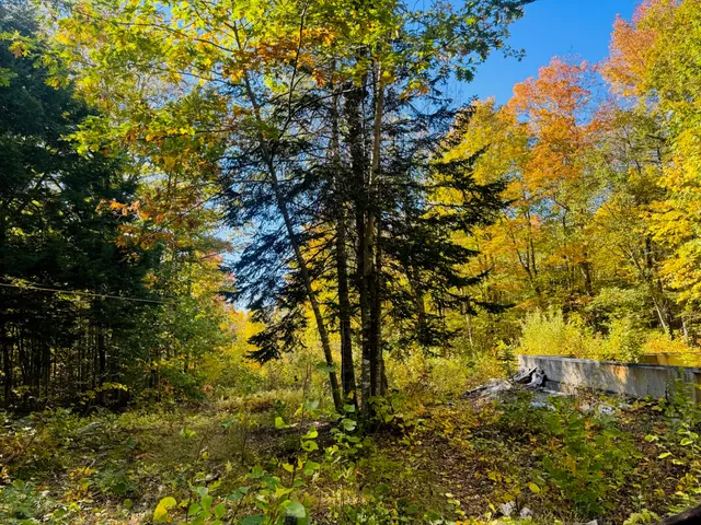 $64,900 | 258 Frenchville Road, Patten, ME 04765