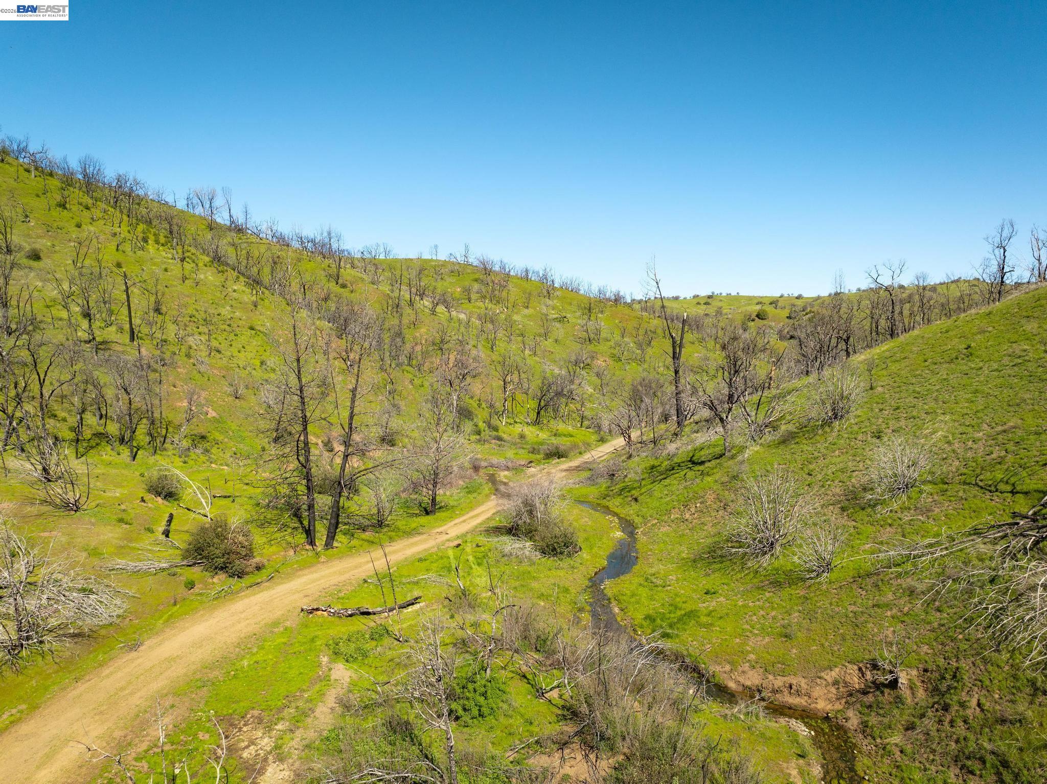 15676 West Corral Hollow Road Tracy, CA 95377 - Photo 11 of 26 a view of a yard with swimming pool and wooden fence