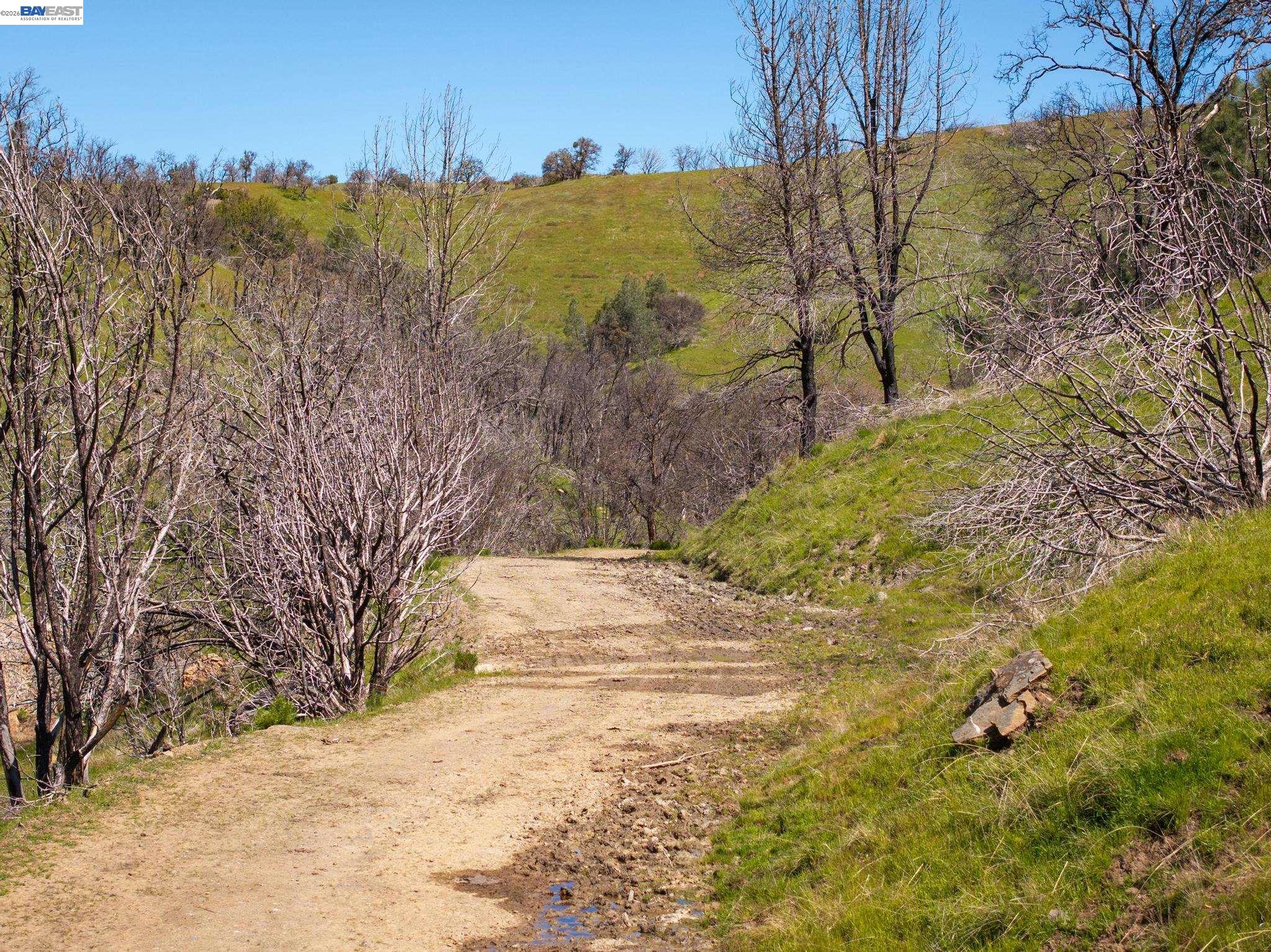 15676 West Corral Hollow Road Tracy, CA 95377 - Photo 14 of 26