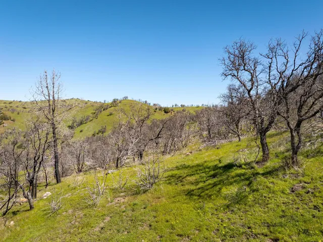 a view of a mountain