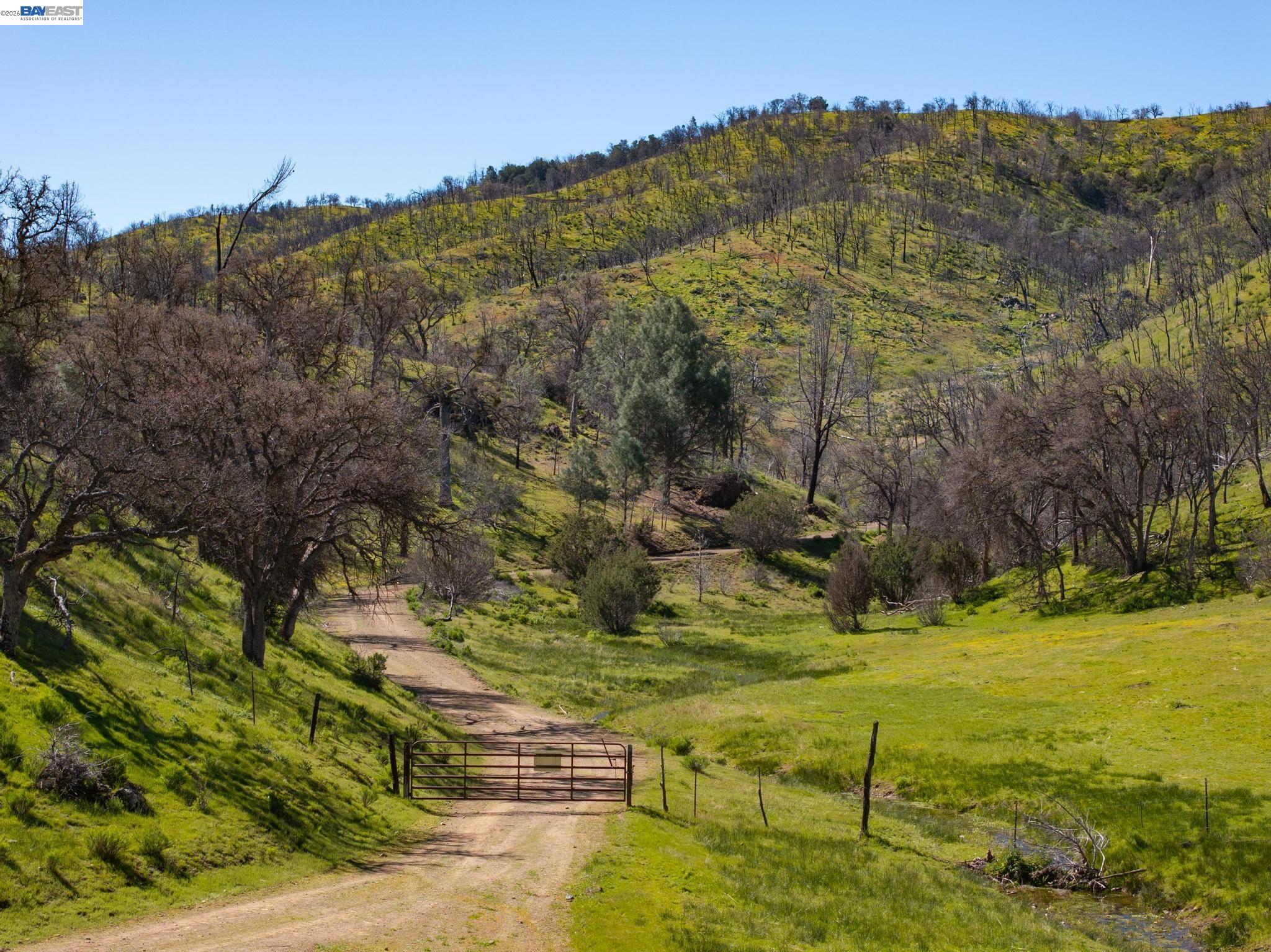 15676 West Corral Hollow Road Tracy, CA 95377 - Photo 17 of 26 a view of a yard with an outdoor space