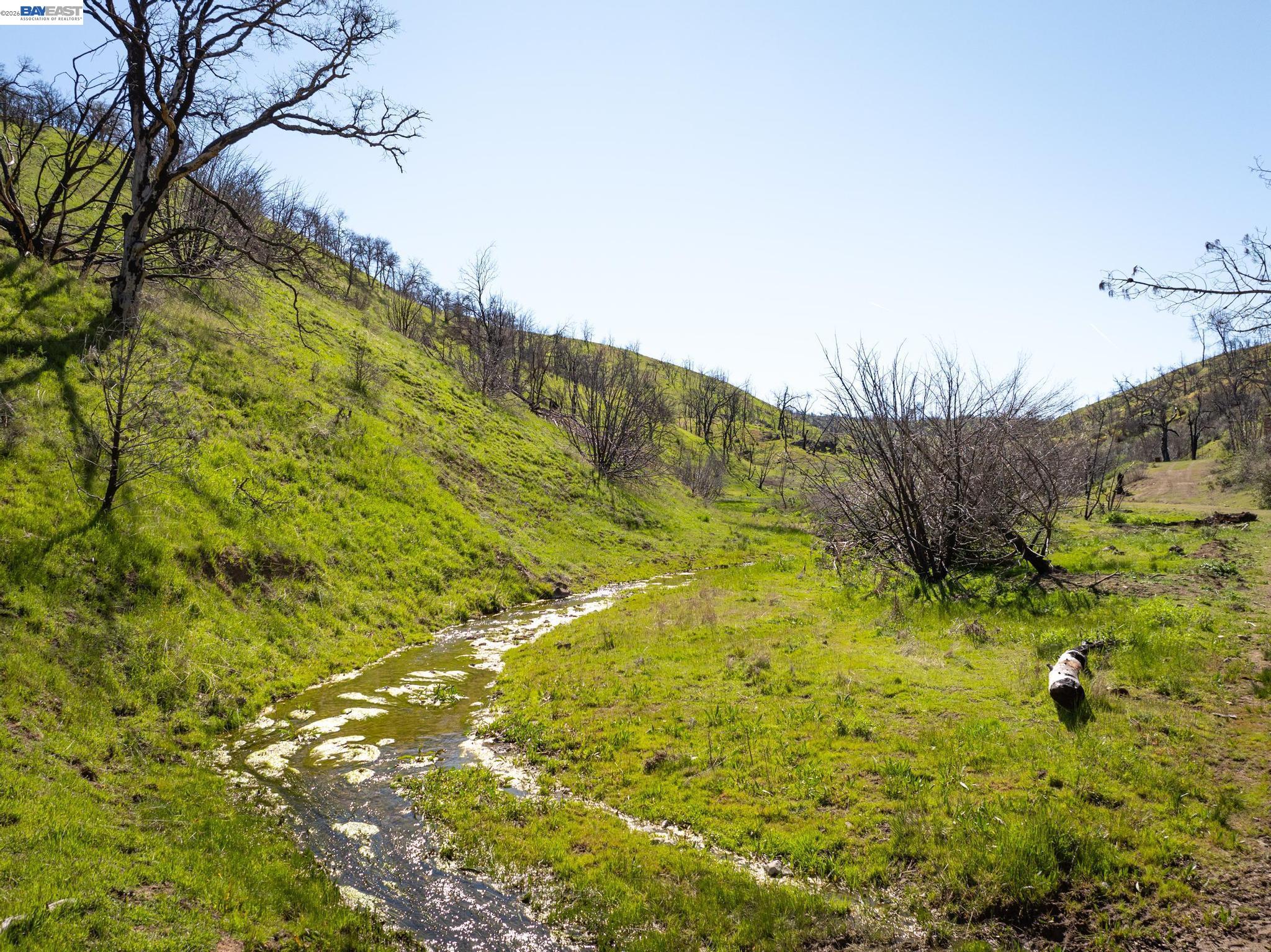 15676 West Corral Hollow Road Tracy, CA 95377 - Photo 19 of 26 a view of a yard