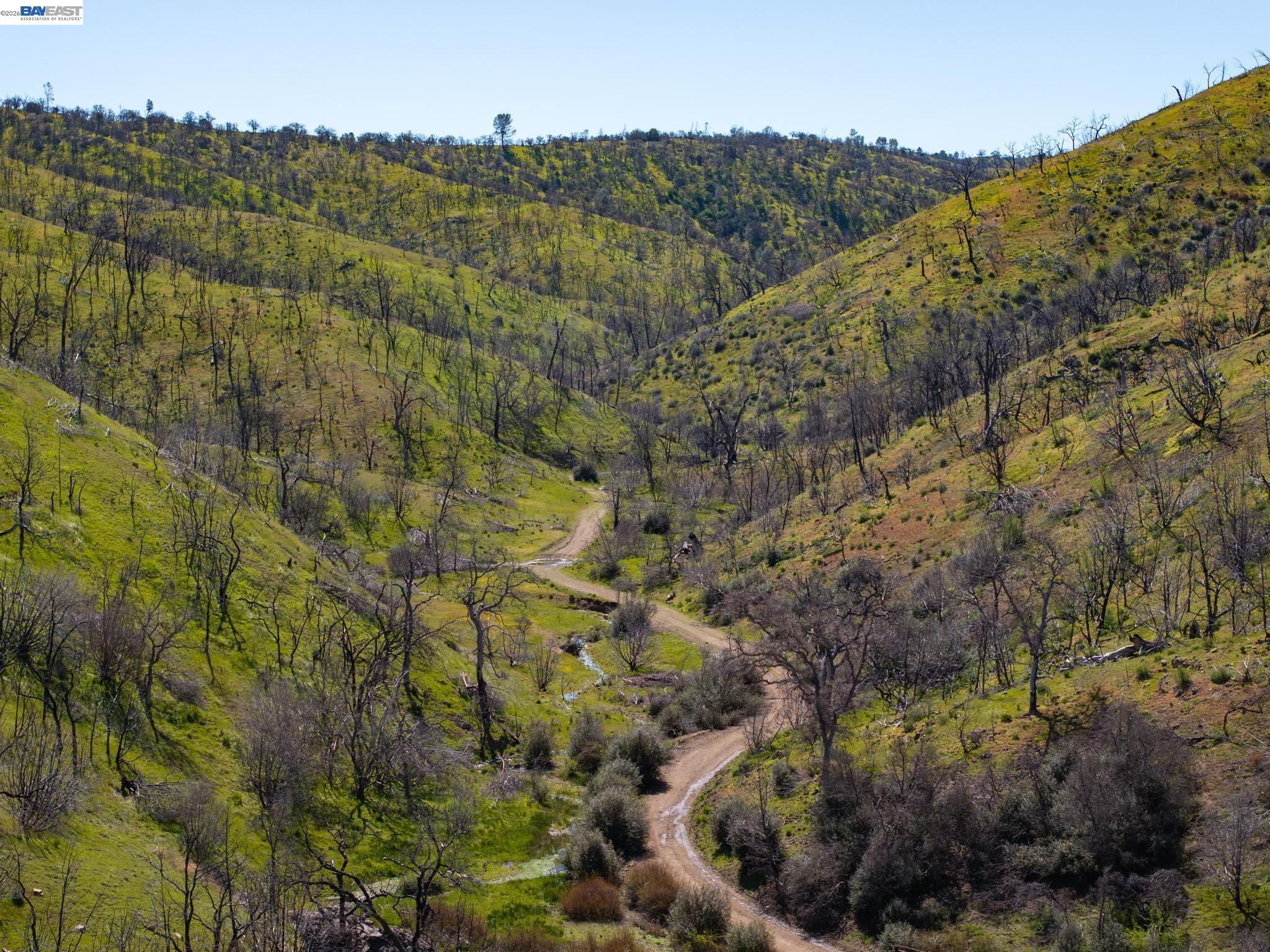 15676 West Corral Hollow Road Tracy, CA 95377 - Photo 22 of 26 a view of a forest with a mountain