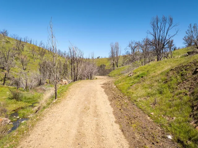a view of a lush green field
