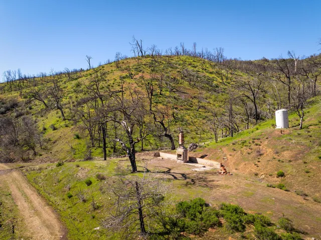 a view of a yard with a tree