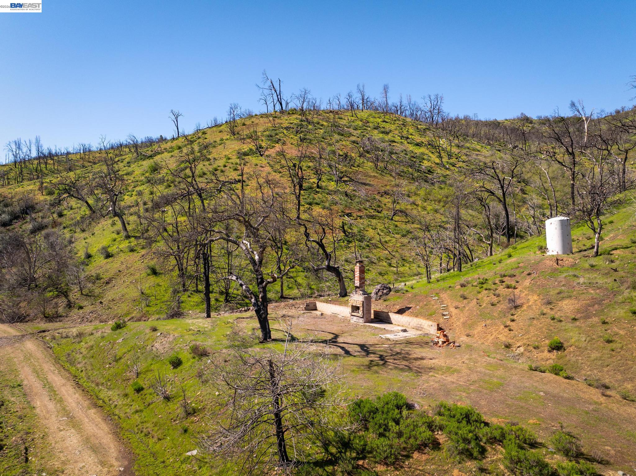 15676 West Corral Hollow Road Tracy, CA 95377 - Photo 3 of 26 a view of a yard with a tree