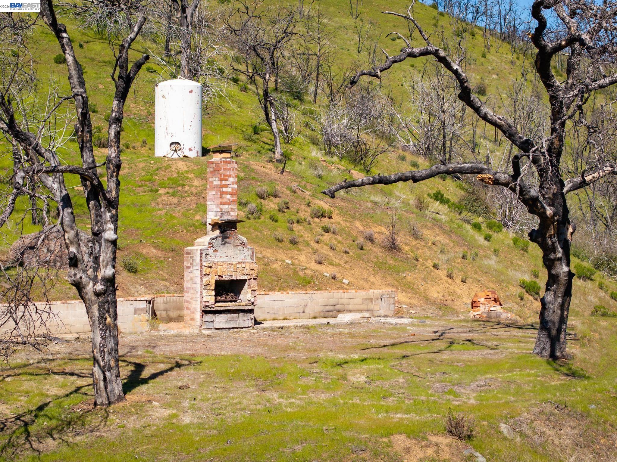15676 West Corral Hollow Road Tracy, CA 95377 - Photo 4 of 26 a picture of a yard with a tree