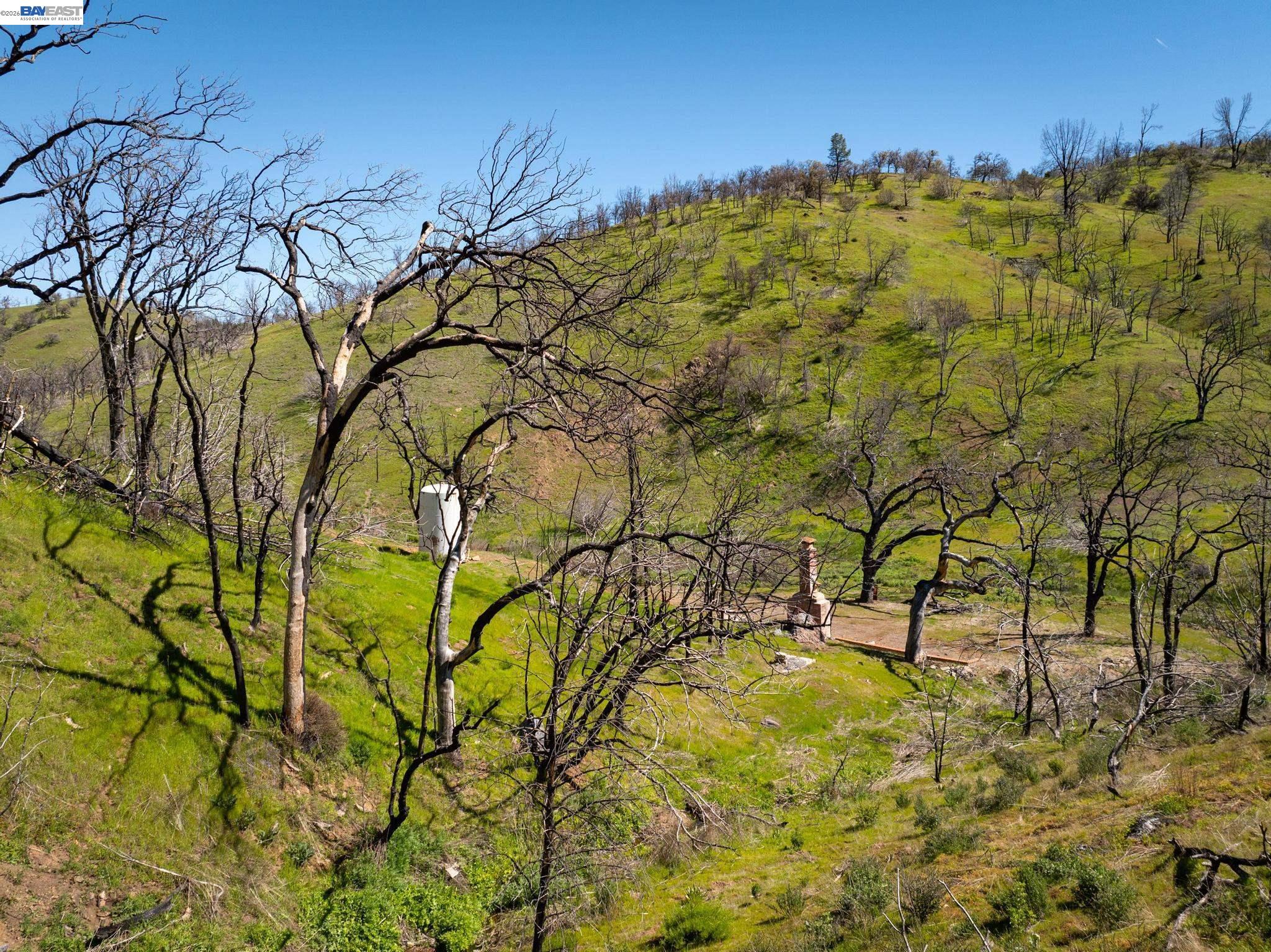 15676 West Corral Hollow Road Tracy, CA 95377 - Photo 5 of 26 a view of swimming pool with a yard