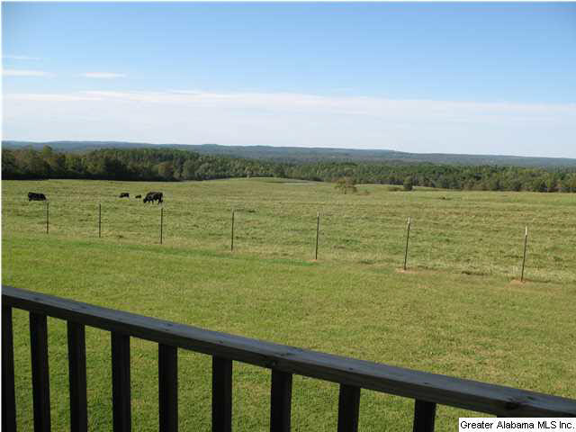 465 Jones Chapel Loop Springville, AL 35146 - Photo 26 of 28