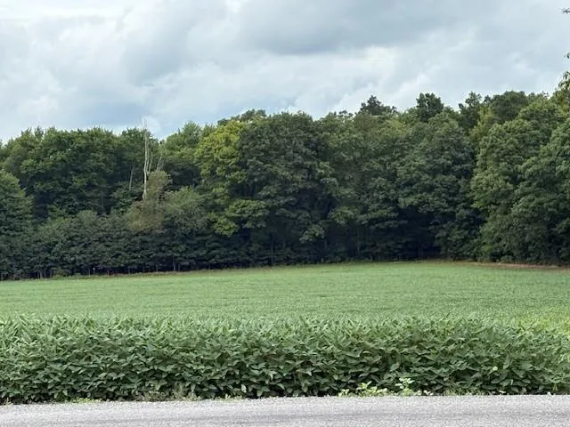 $119,000 | 0 Hilliard Road, Petrolia, PA 16050