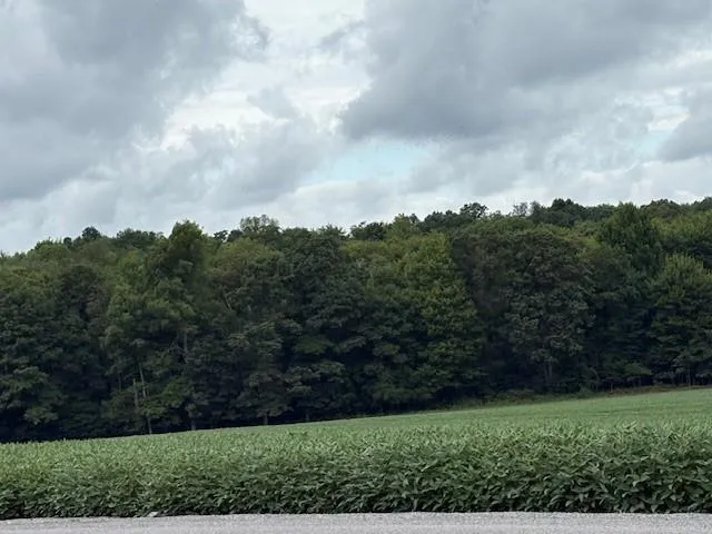 $119,000 | 0 Hilliard Road, Petrolia, PA 16050