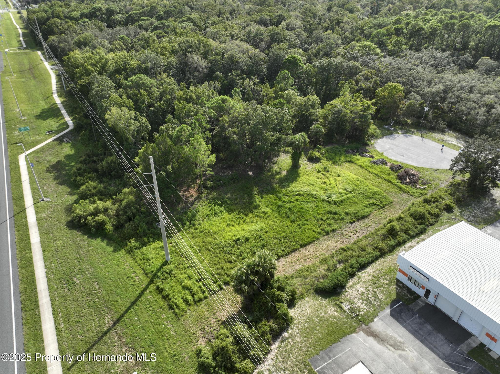 290 Suzanne Drive Spring Hill, FL 34607 - Photo 12 of 15