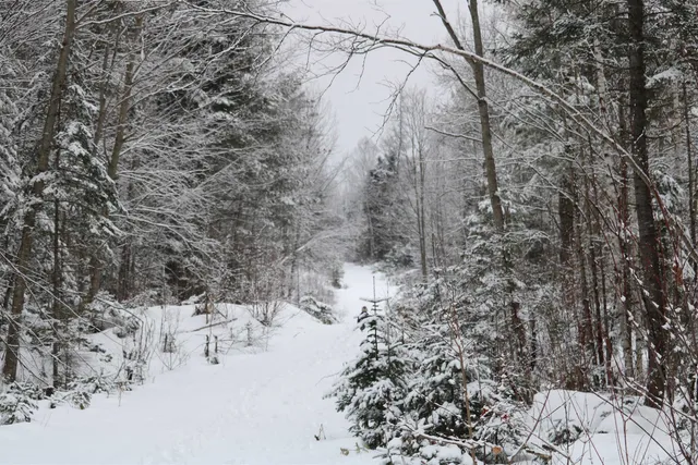 $449,000 | 26 Railroad Street, Milan, NH 03588