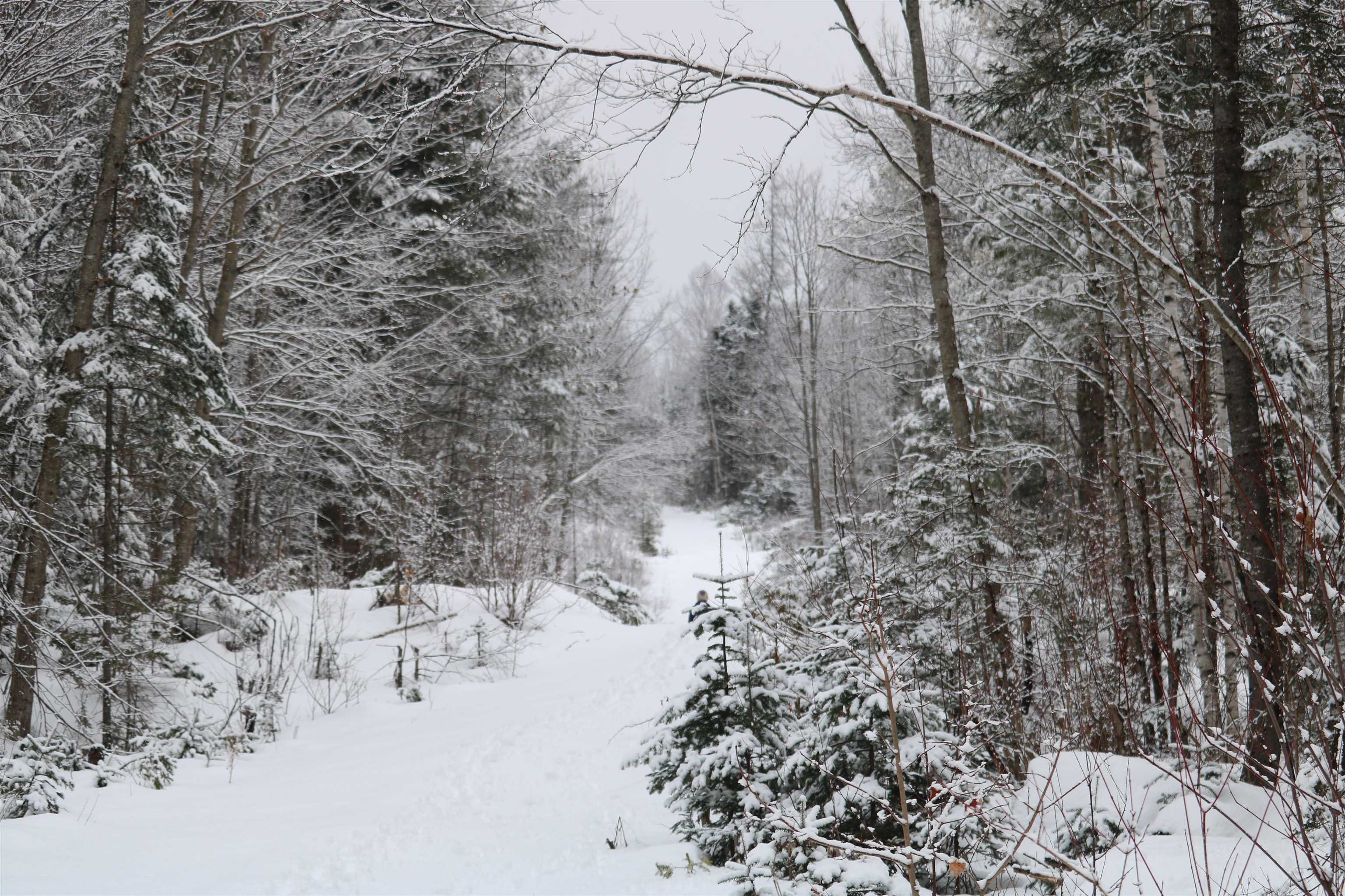 26 Railroad Street Milan, NH 03588 - Photo 2 of 13