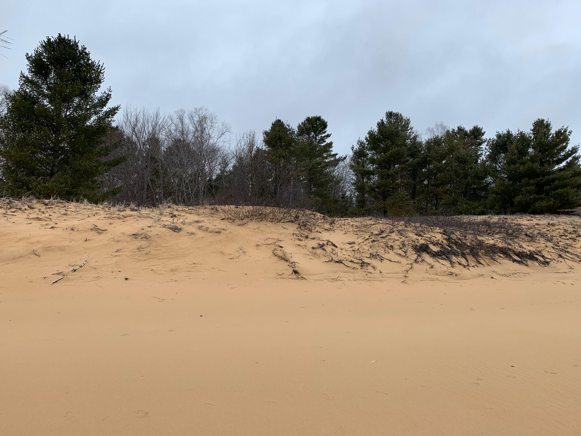 14920 North Whitefish Point Road Paradise, MI 49768 - Photo 11 of 17 Gallery Image 11
