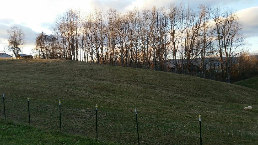 835 Iron Works Road Harrogate, TN 37752 - Photo 11 of 25 pasture2