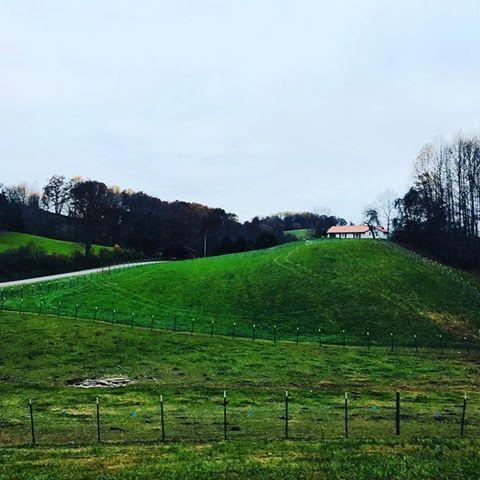 835 Iron Works Road Harrogate, TN 37752 - Photo 6 of 25 Exterior with pasture