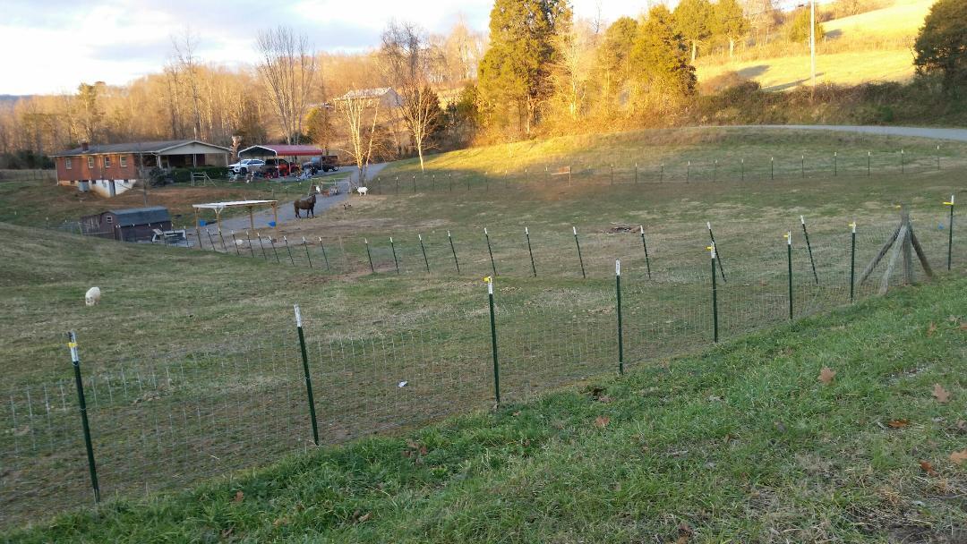 835 Iron Works Road Harrogate, TN 37752 - Photo 7 of 25 pasture with house