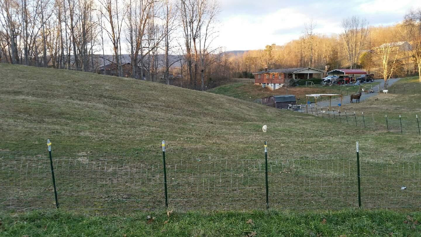 835 Iron Works Road Harrogate, TN 37752 - Photo 8 of 25 pasture with house1