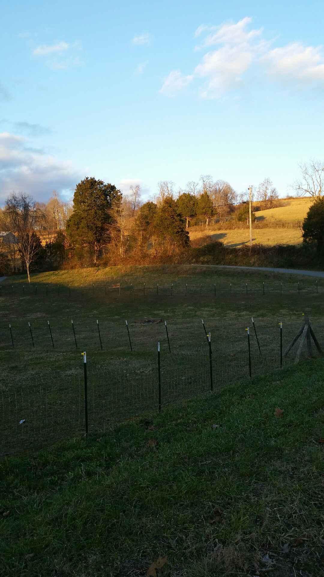 835 Iron Works Road Harrogate, TN 37752 - Photo 9 of 25 pasture
