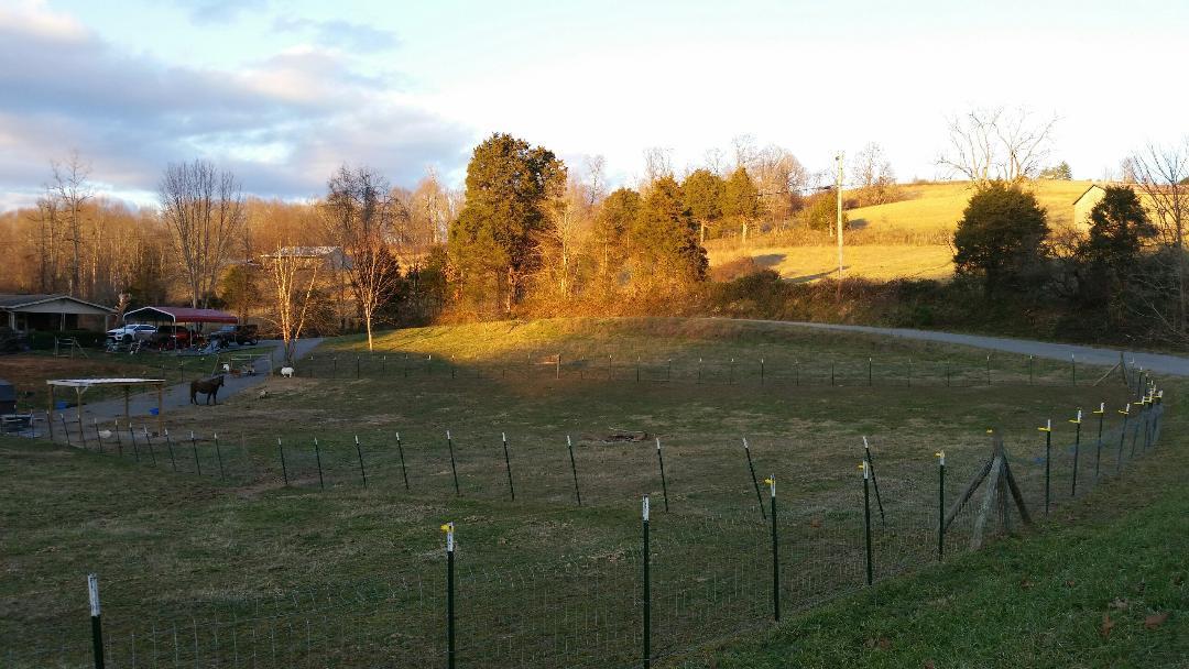 835 Iron Works Road Harrogate, TN 37752 - Photo 10 of 25 pasture1
