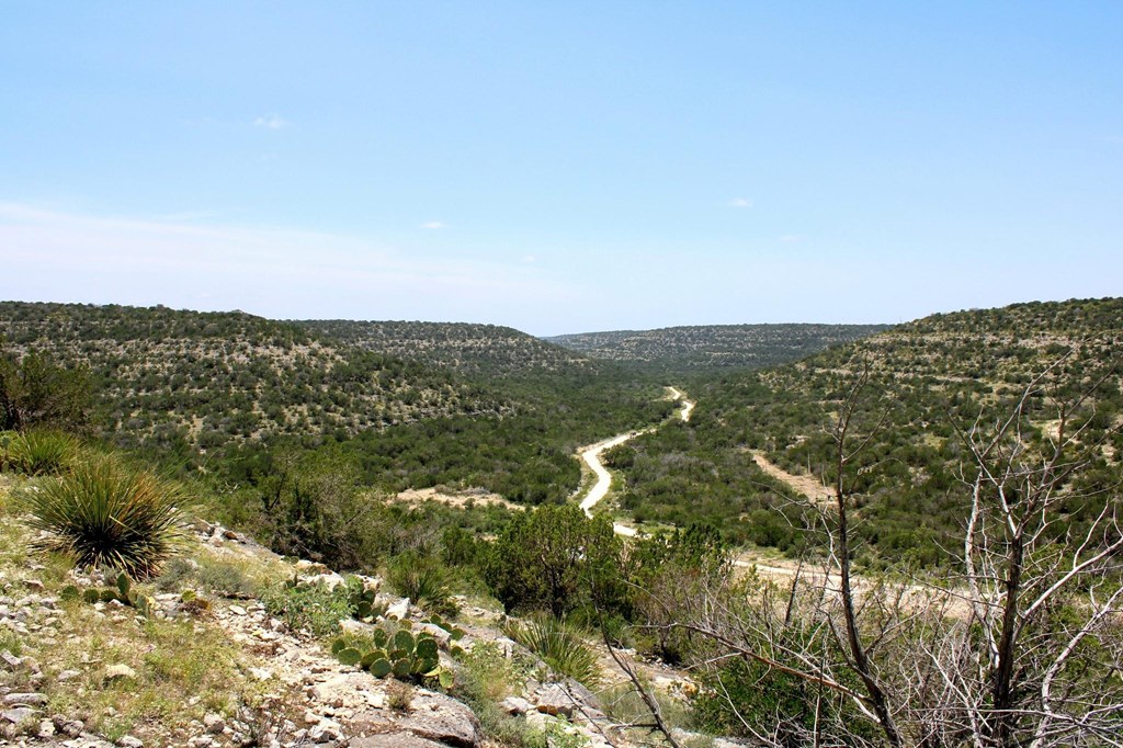 2519 Widmark Road Comstock, TX 78837 - Photo 15 of 49 a view of a city
