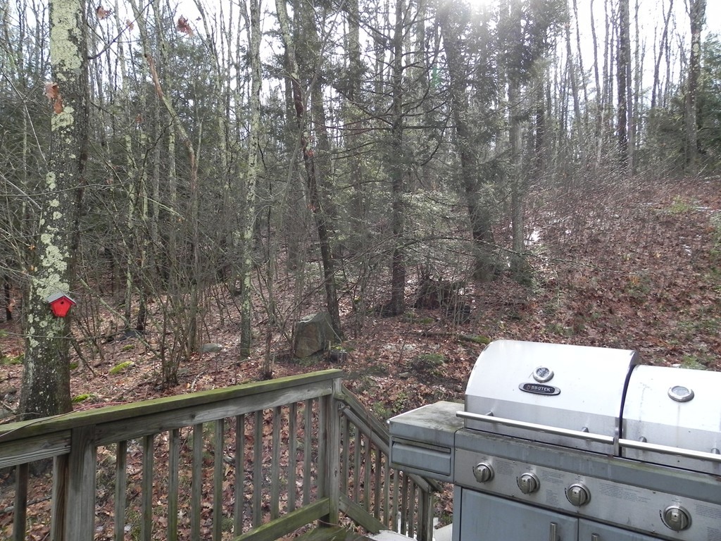 88 Brooks Road Athol, MA 01331 - Photo 6 of 30 a view of a forest from balcony