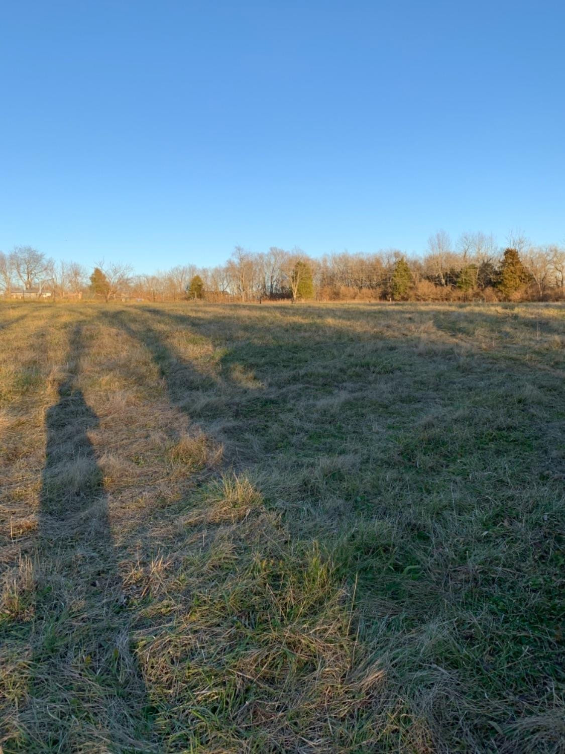 1251 Bethany Road Nicholasville, KY 40356 - Photo 34 of 42 Photo 34