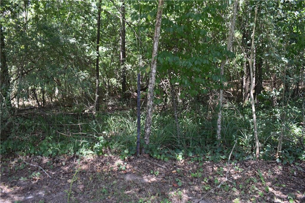 0 Monroe Road Natchitoches, LA 71457 - Photo 1 of 4 Gallery Image 1