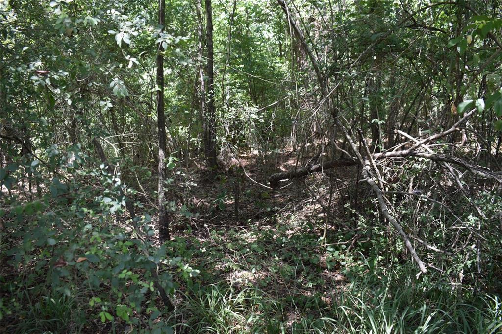 0 Monroe Road Natchitoches, LA 71457 - Photo 2 of 4 Gallery Image 2