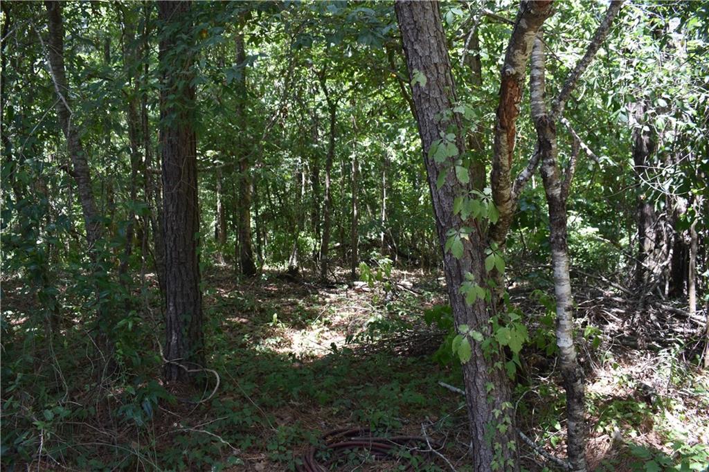 0 Monroe Road Natchitoches, LA 71457 - Photo 3 of 4 Gallery Image 3