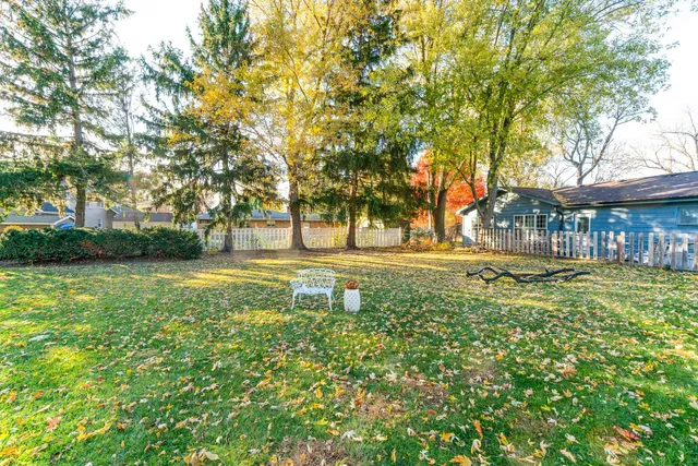 a view of yard with green space