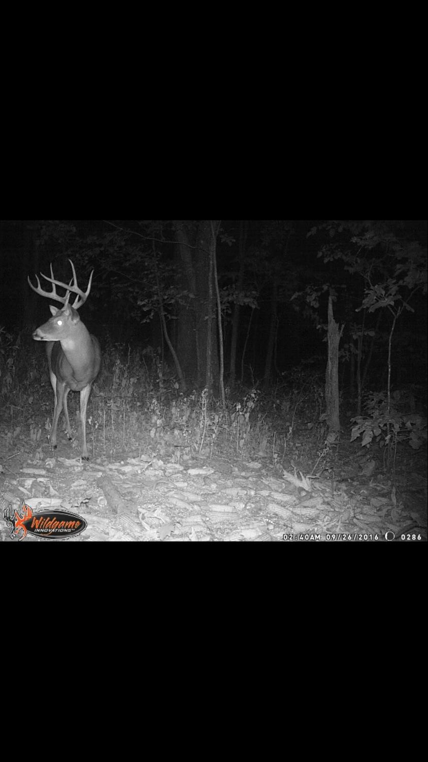 1 Pea Ridge Road Wallingford, KY 41093 - Photo 8 of 15 Photo 8