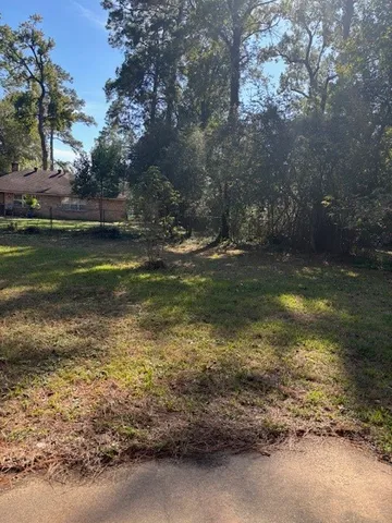 a view of a yard with large trees