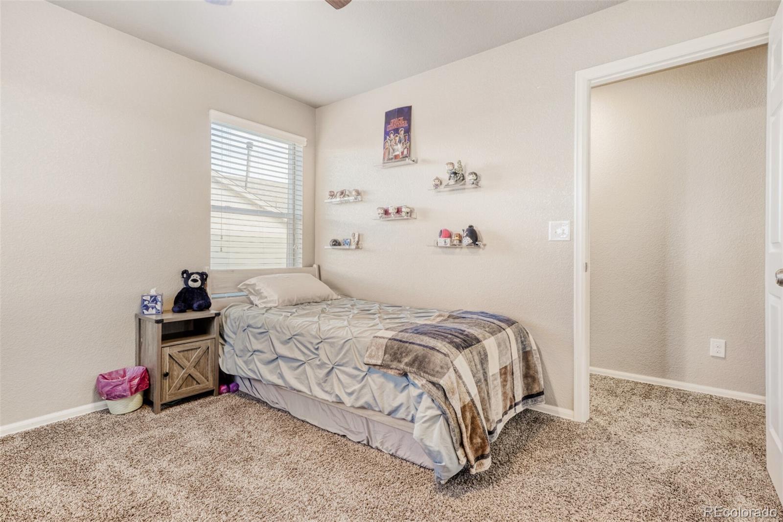 2211 Shadow Rider Circle Castle Rock, CO 80104 - Photo 35 of 44