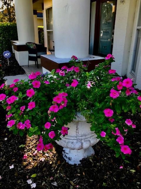 610 Pine Ranch East Road Osprey, FL 34229 - Photo 52 of 64 Lots of flowers