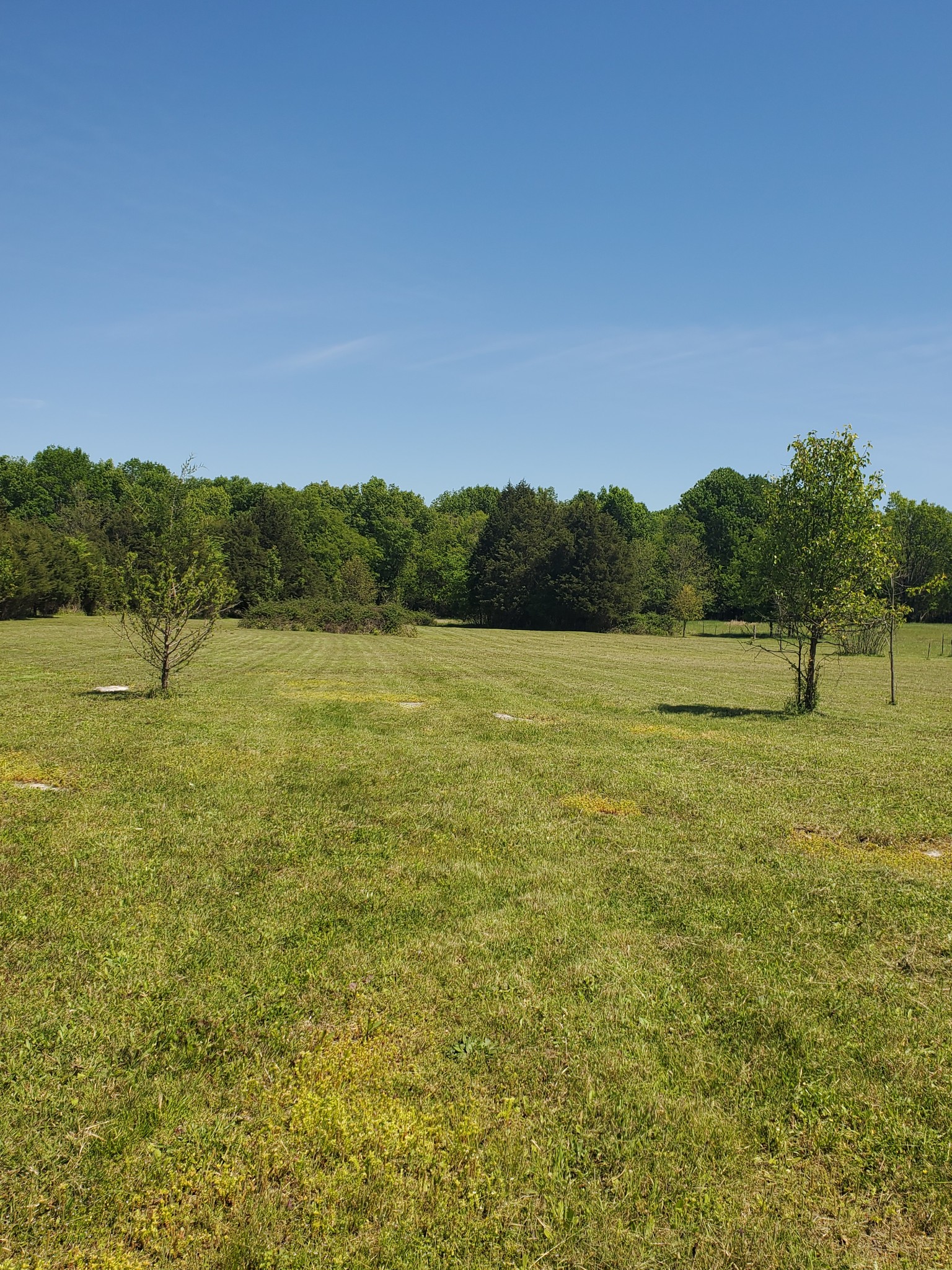 1 A Old Murfreesboro Road West Lebanon, TN 37090 - Photo 5 of 7 Gallery Image 5