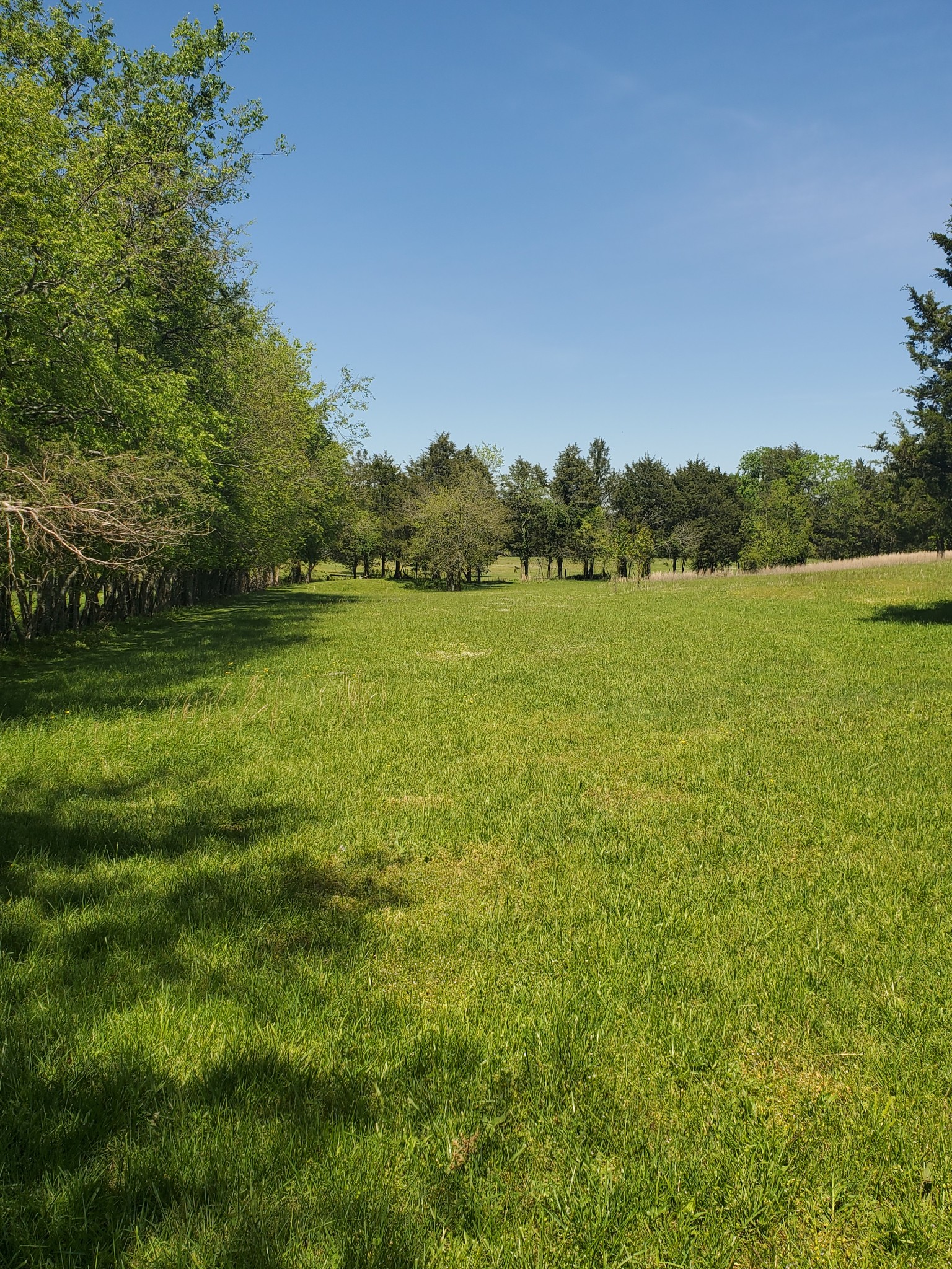 1 A Old Murfreesboro Road West Lebanon, TN 37090 - Photo 7 of 7 Gallery Image 7