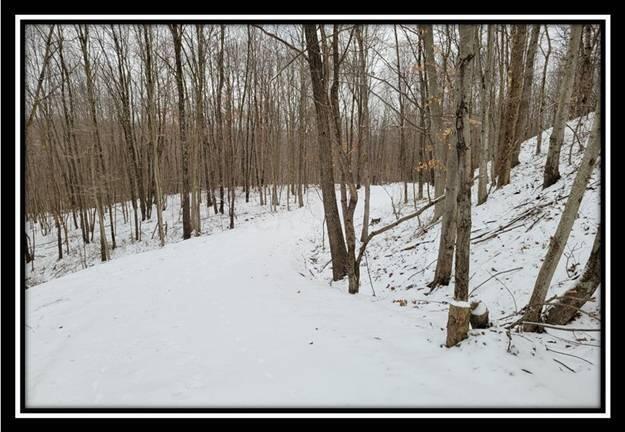 0 Number 12 Hollow Road Wellston, OH 45692 - Photo 29 of 45 image029