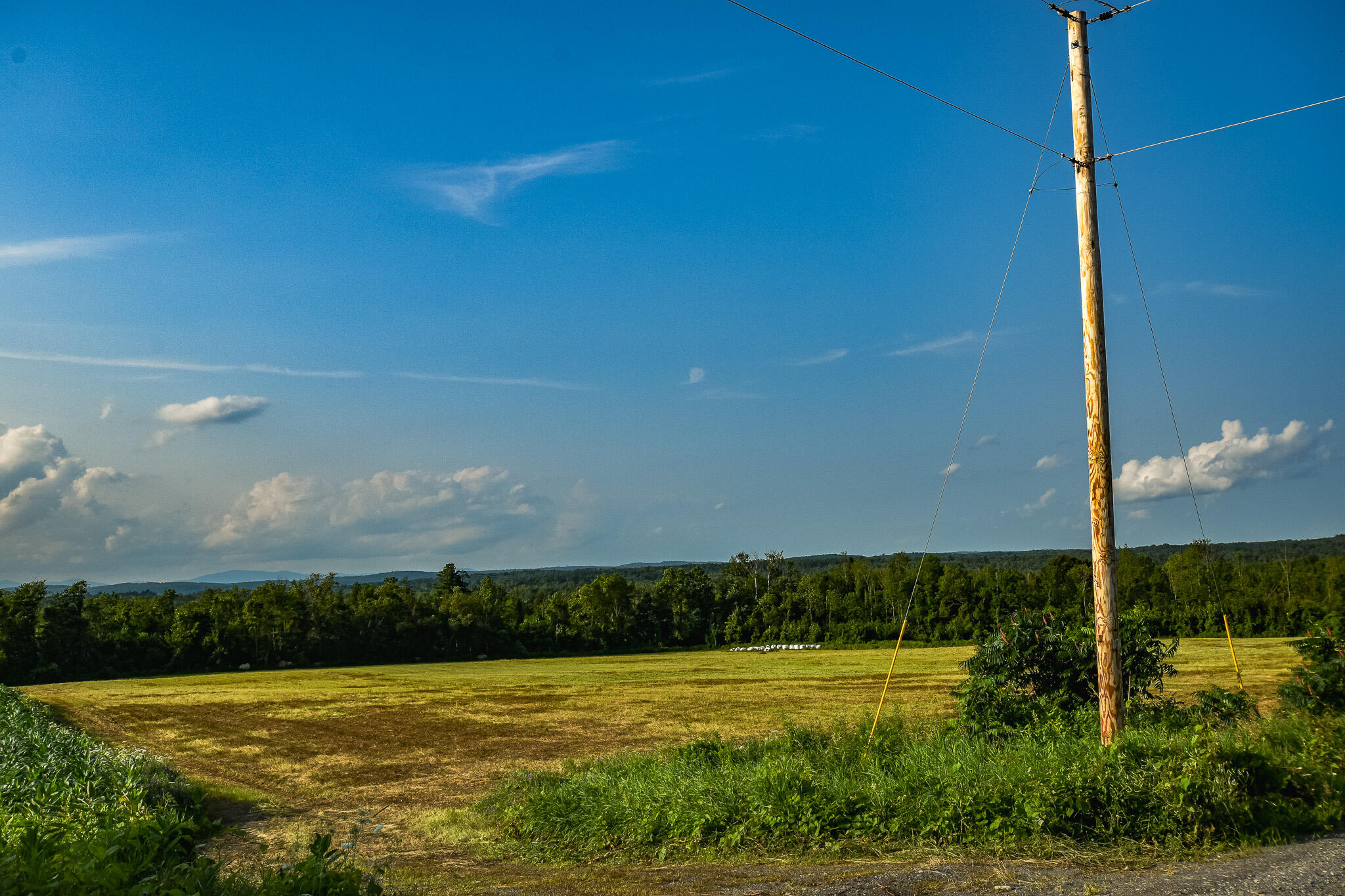 0 Atkinson Road Dover-Foxcroft, ME 04426 - Photo 11 of 63 DSC_0991