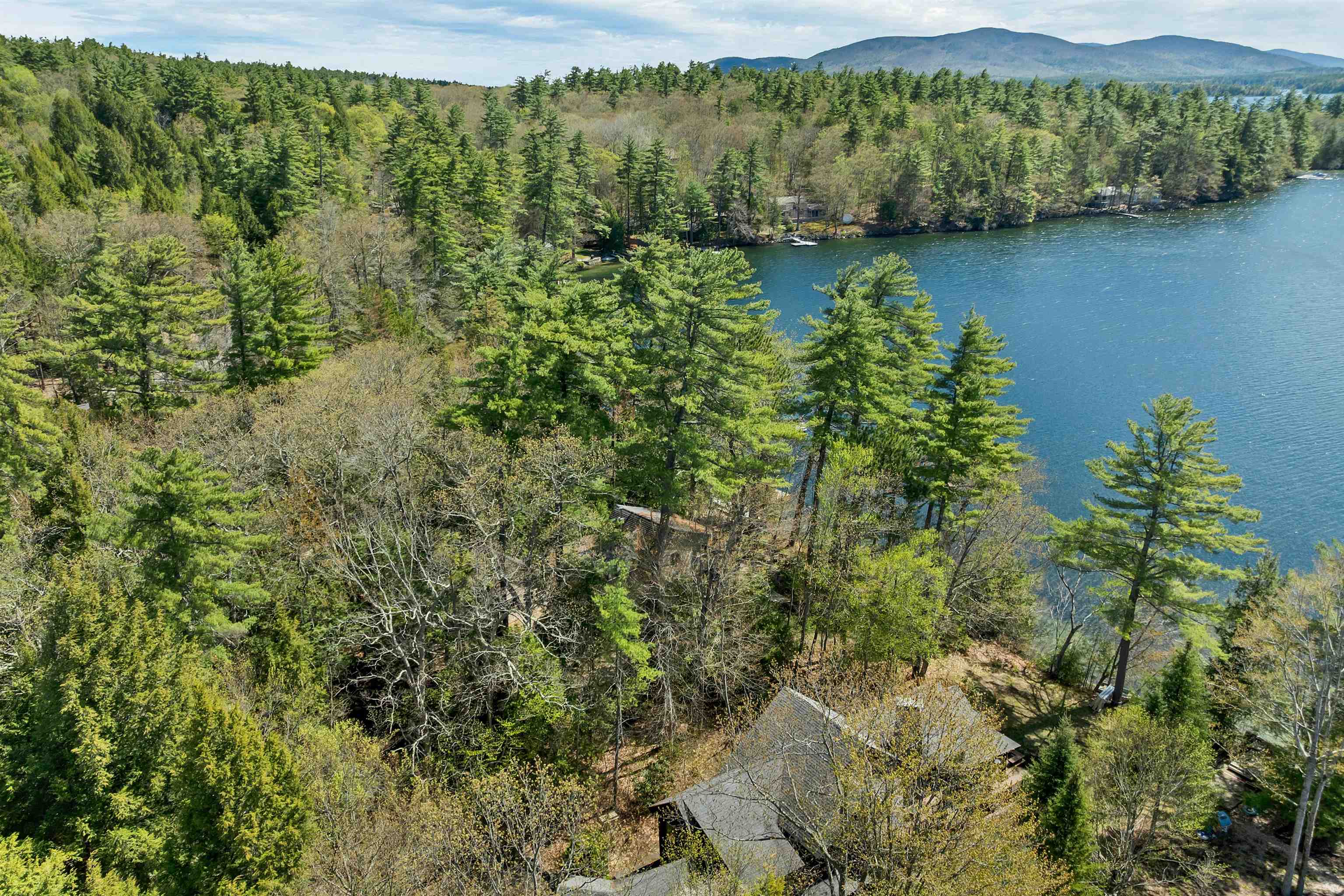 43 Howard Road Holderness, NH 03245 - Photo 15 of 58