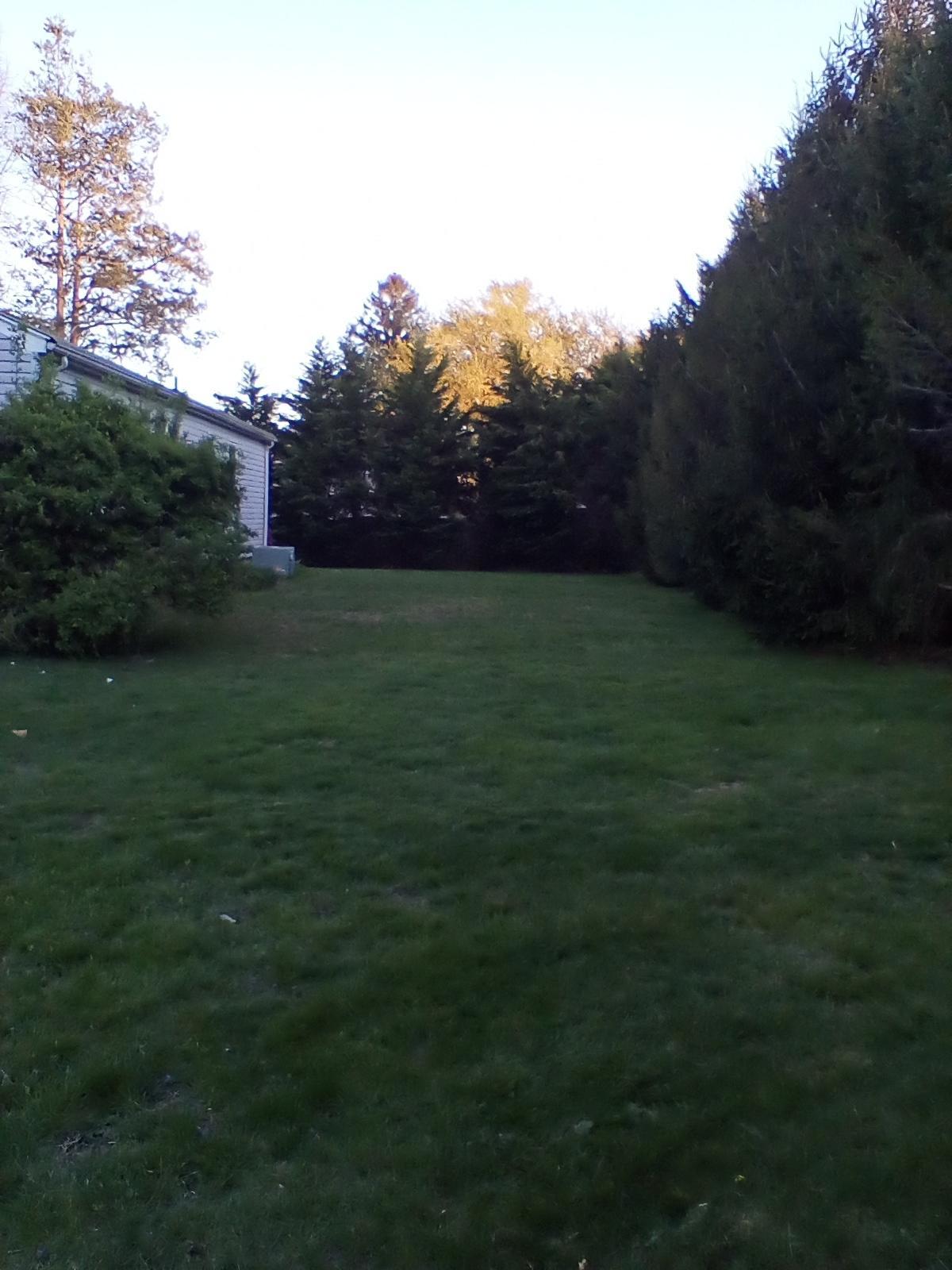 1623 Bailey Road Wall, NJ 07719 - Photo 5 of 14 a backyard of a house with lots of green space