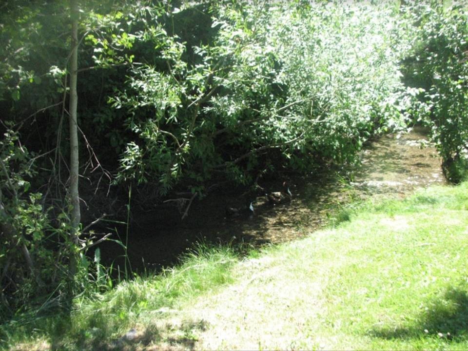 823 Old Kettle Falls Road Republic, WA 99166 - Photo 14 of 19 Gallery Image 14