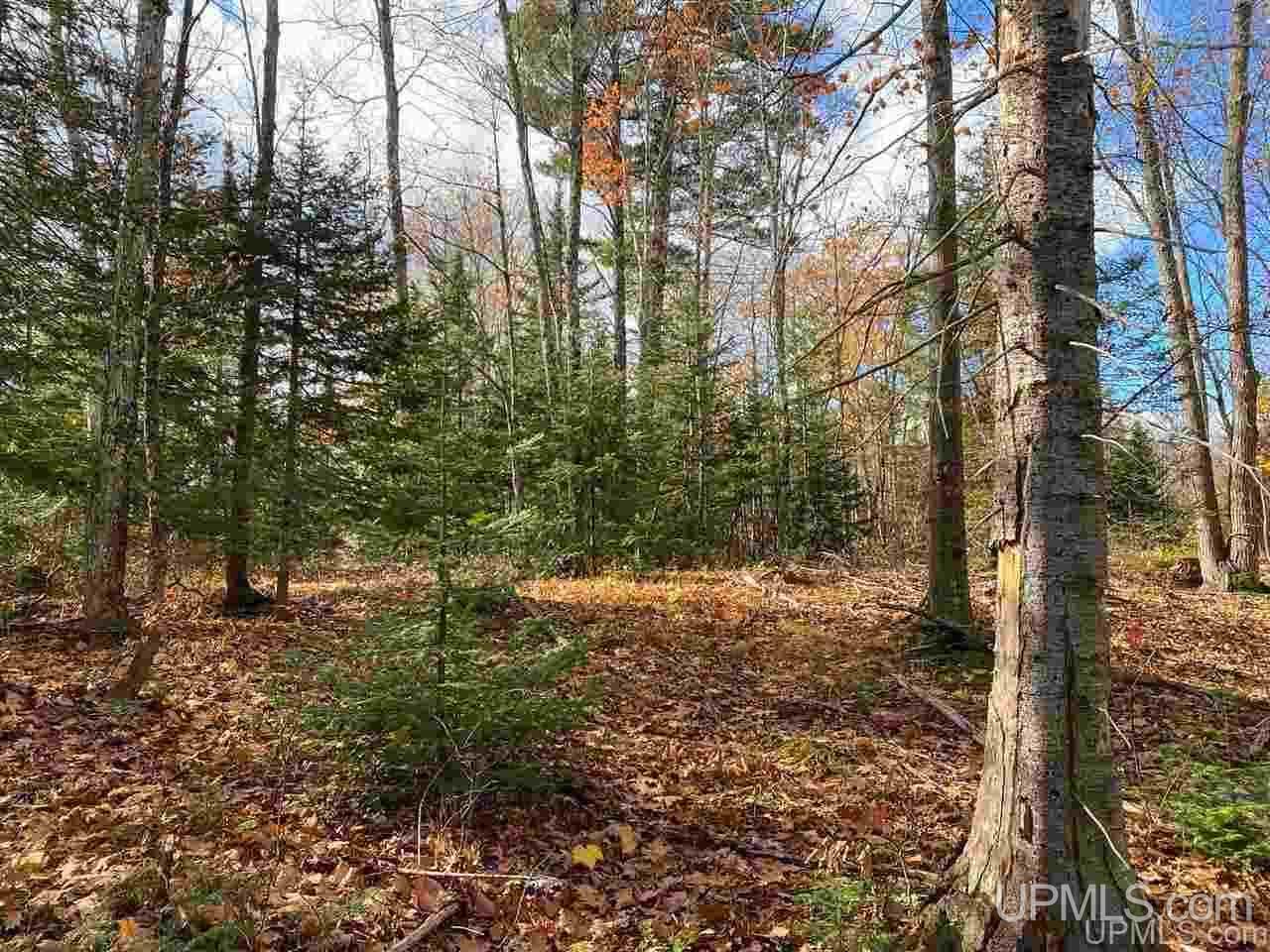 Tbd Lake Enchantment Road, Unit PARCEL 1 Marquette, MI 49855 - Photo 13 of 18