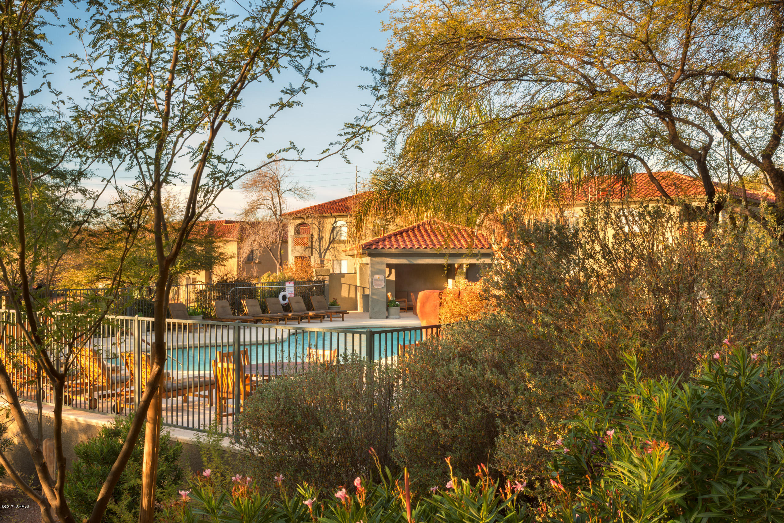 5751 North Kolb Road, Unit 38204 Tucson, AZ 85750 - Photo 19 of 20 5751 N Kolb Grounds and amenities-4722-E